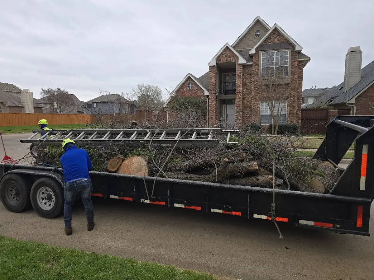 Expert Tree Pest Control with proper safety equipment in Browns Mills